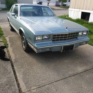 Meet your Posher, Walter